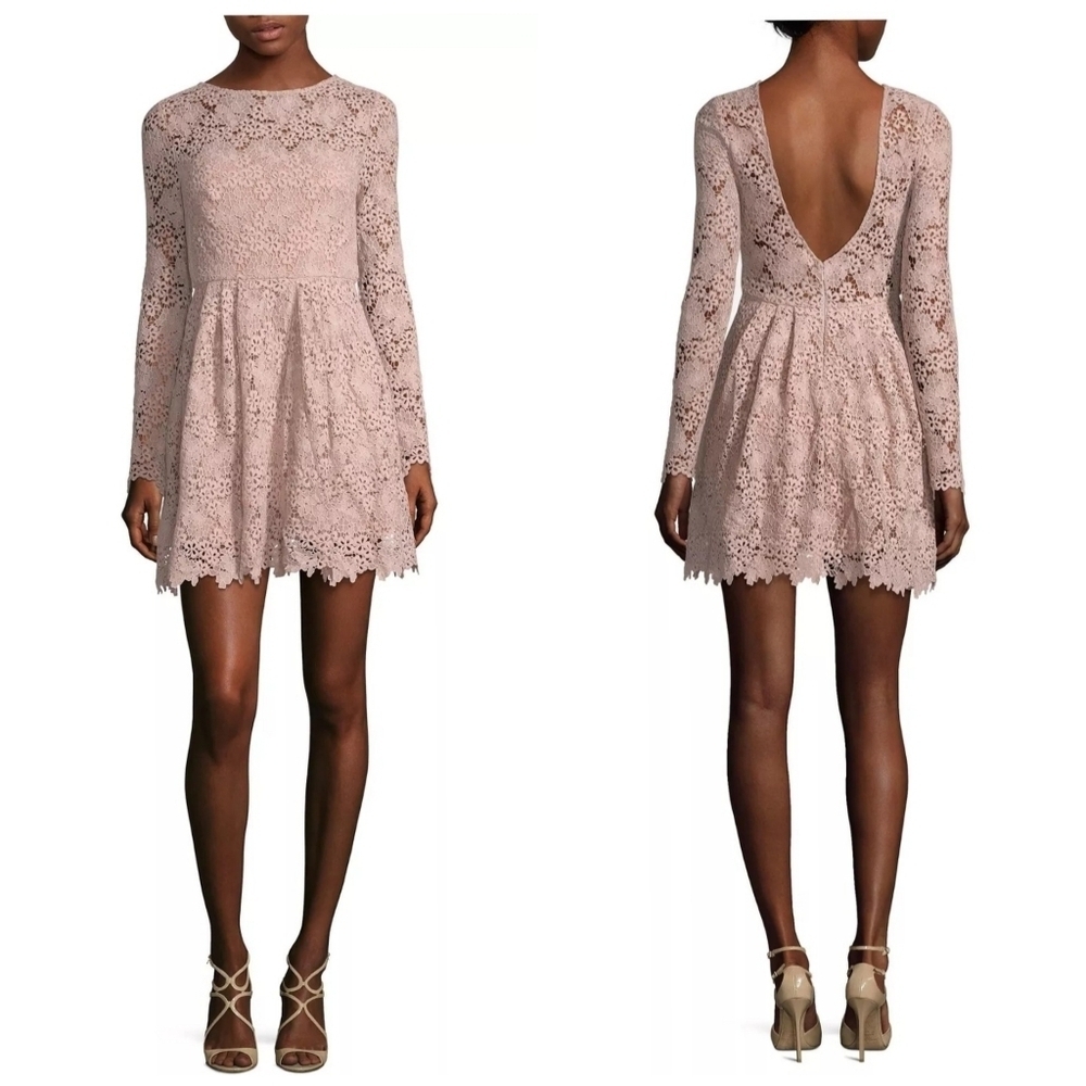 ML Monique Lhuillier Blush Lace Dress